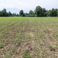 Sodum Hutchings Rd - 208 acres - Trumbull County images 4