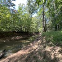 Saline Bayou 310 - Land for Sale Bienville Parish LA