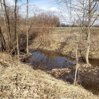 77.6 - acre secluded hunting getaway in Bangor MI.