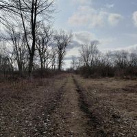 77.6 - acre secluded hunting getaway in Bangor MI. images 2