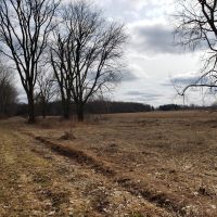 77.6 - acre secluded hunting getaway in Bangor MI. images 4