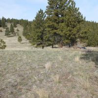 31 Overland Trl images 3