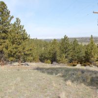 31 Overland Trl images 4