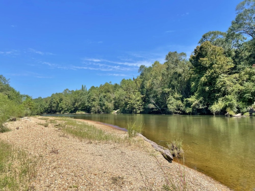Cabin 112 Wooded Acres on Bogue Chitto River featured image