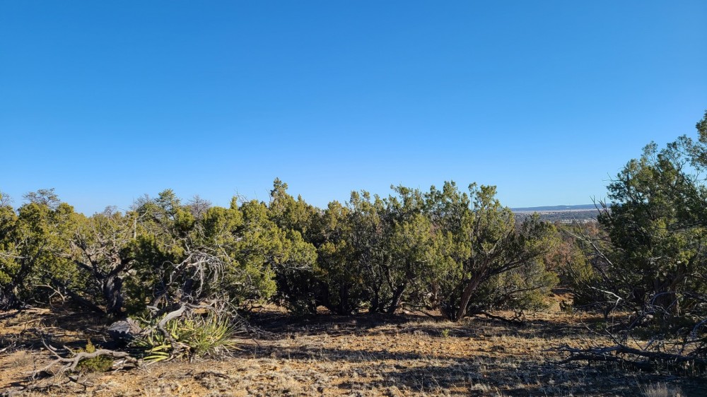 El Morro Ranch featured image