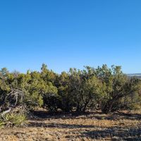 El Morro Ranch
