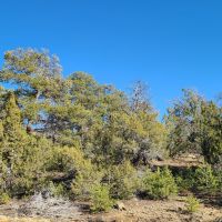 El Morro Ranch images 4