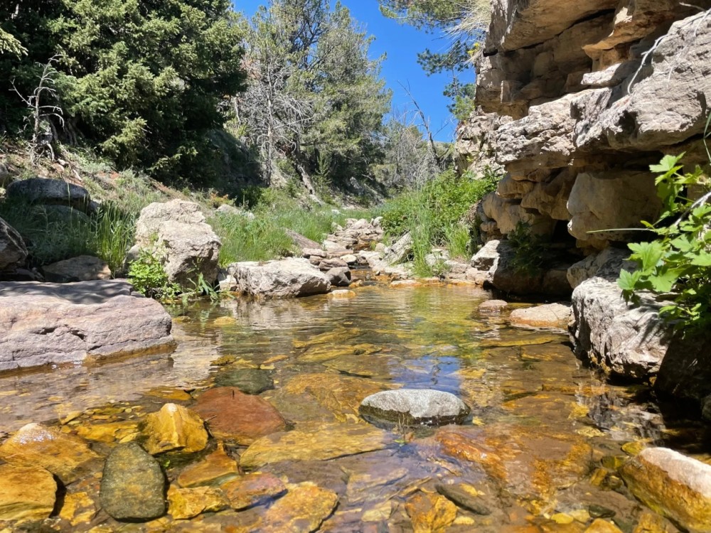 First Water Creek Mountain Retreat featured image
