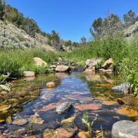 First Water Creek Mountain Retreat images 2