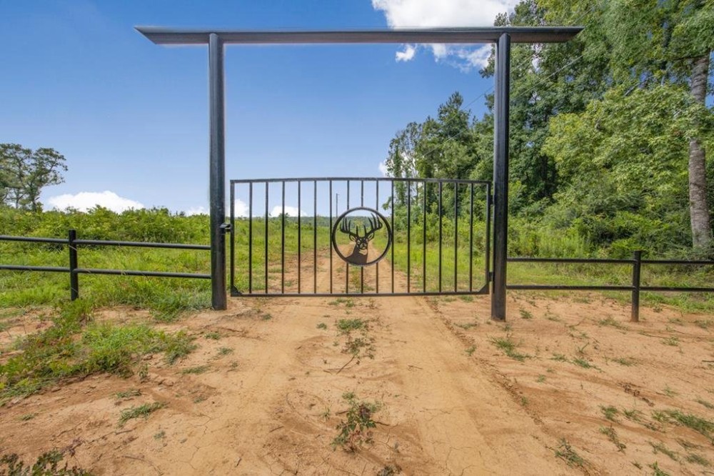 Deer Creek 532 Acres Land for Sale Jefferson County MS featured image