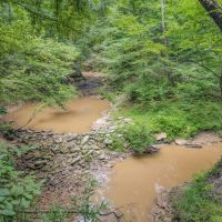Deer Creek 532 Acres Land for Sale Jefferson County MS images 3