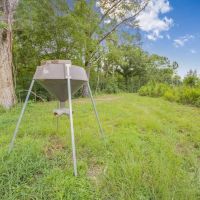 Deer Creek 532 Acres Land for Sale Jefferson County MS images 4
