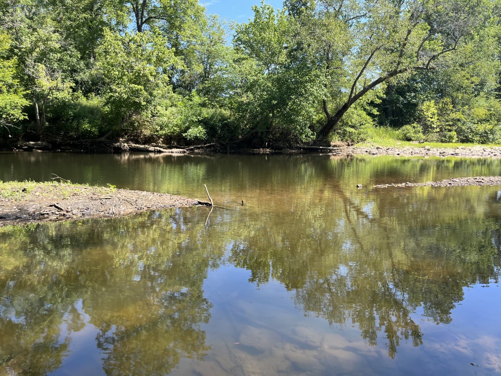 40 Acres For Sale in Leslie Ar featured image