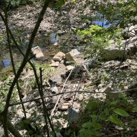 40 Acres For Sale in Leslie Ar images 4
