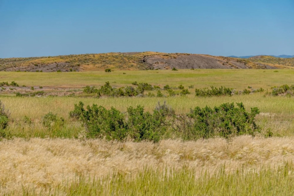 Dumbrill Creek Ranch featured image
