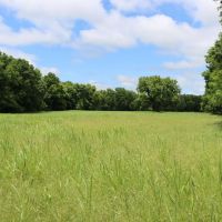 The Elk River Ranch images 2