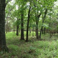 The Elk River Ranch images 3