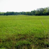 120 Acre Pasture and Hay w Hunting Pawnee County