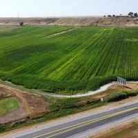 Highway 85 Irrigated Acres images 2