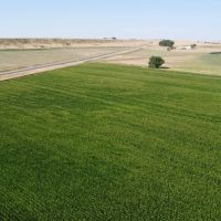 Highway 85 Irrigated Acres images 4