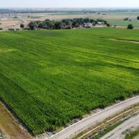Highway 85 Irrigated Acres images 5