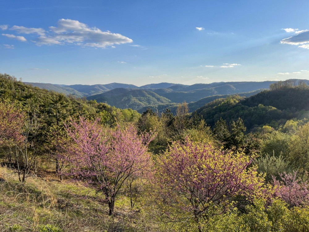Elk Valley featured image