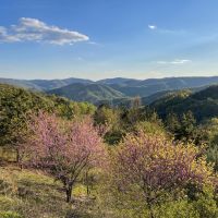 Elk Valley