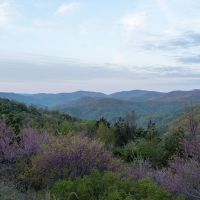 Elk Valley images 3