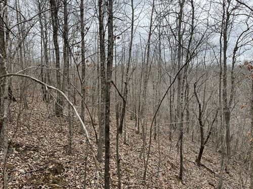 20 acres For Sale in Saint Joe Ar featured image