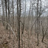 20 acres For Sale in Saint Joe Ar
