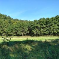 Beautiful Property in La Crosse County WI images 3