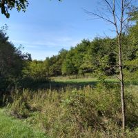 Beautiful Property in La Crosse County WI images 4