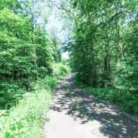 CR 26 - 82 acres - Jefferson County images 2
