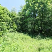 CR 26 - 82 acres - Jefferson County images 3