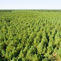 353 Acres T-25 Eliot images 2