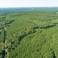 353 Acres T-25 Eliot images 3
