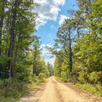 353 Acres T-25 Eliot images 4