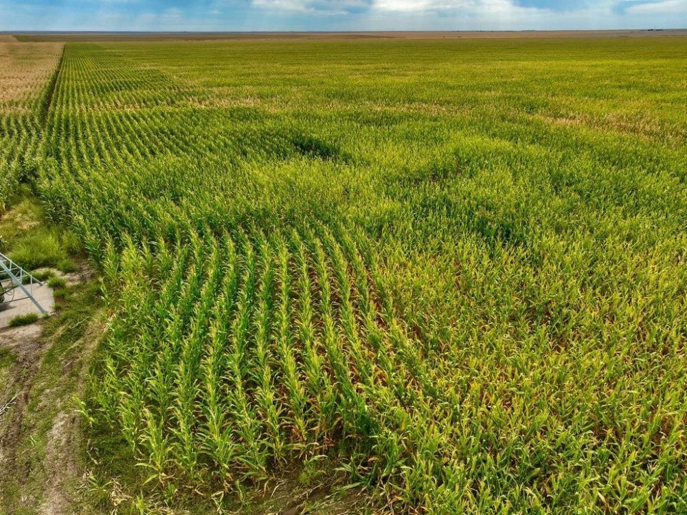 Prowers County Irrigated 640 featured image