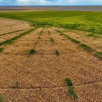 Prowers County Irrigated 640 images 2
