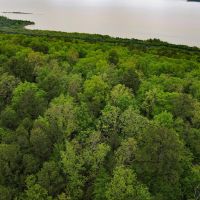Flagpole Mountain Getaway- Lot 2 images 3
