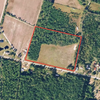 14.25 acres of Farm and Hunting Land for Sale in Columbus County NC