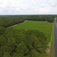 14.25 acres of Farm and Hunting Land for Sale in Columbus County NC images 3