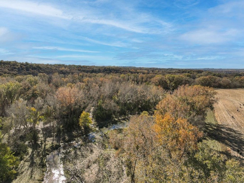 178.54 Acres - Knox County Nebraska - Prime Hunting Property featured image
