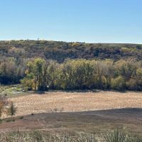 178.54 Acres - Knox County Nebraska - Prime Hunting Property images 2