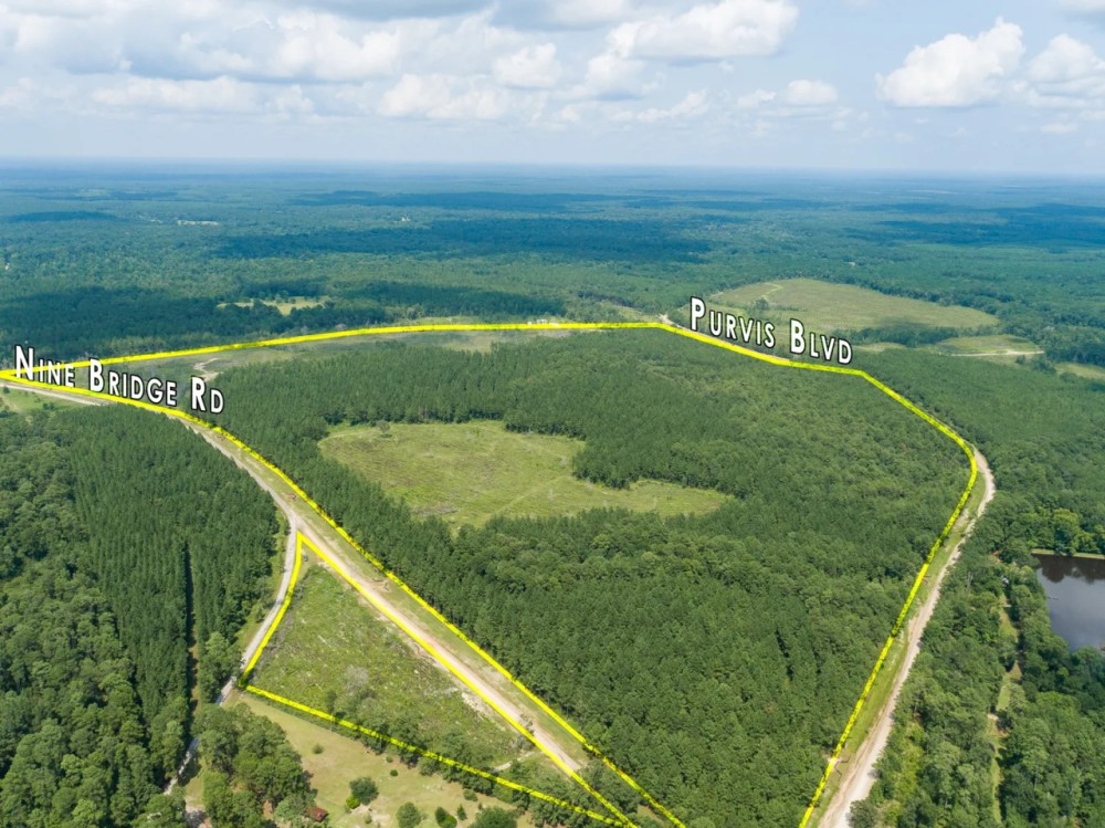 4 Acres Nine Bridge Rd. featured image
