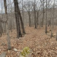 Minutes to Lake of the Ozarks