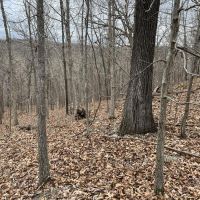 Minutes to Lake of the Ozarks images 2