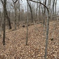 Minutes to Lake of the Ozarks images 3
