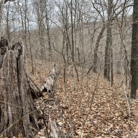 Minutes to Lake of the Ozarks images 4
