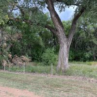 KS - Harper 700 acres - images 2